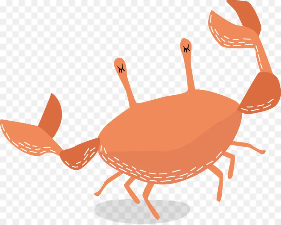 Caranguejo，Dungeness Crab PNG