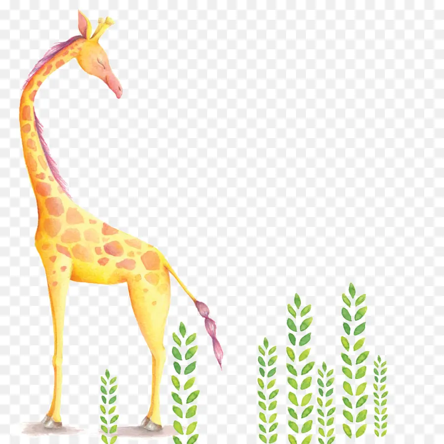 Girafa，Folhas PNG