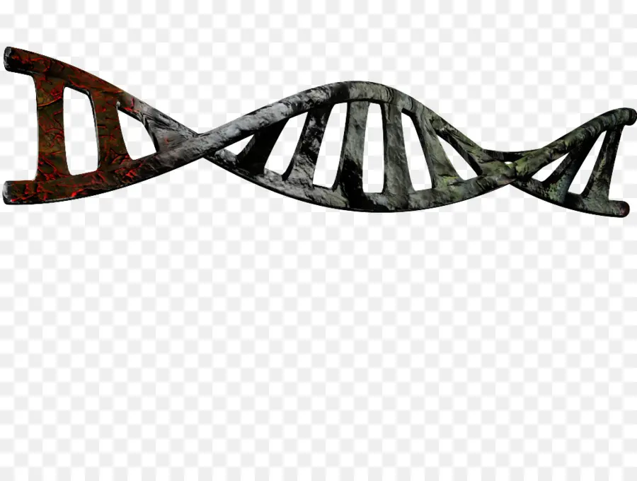 Dupla Hélice De Um Relato Pessoal Sobre A Descoberta Da Estrutura Do Dna，ácido Nucleico Dupla Hélice PNG