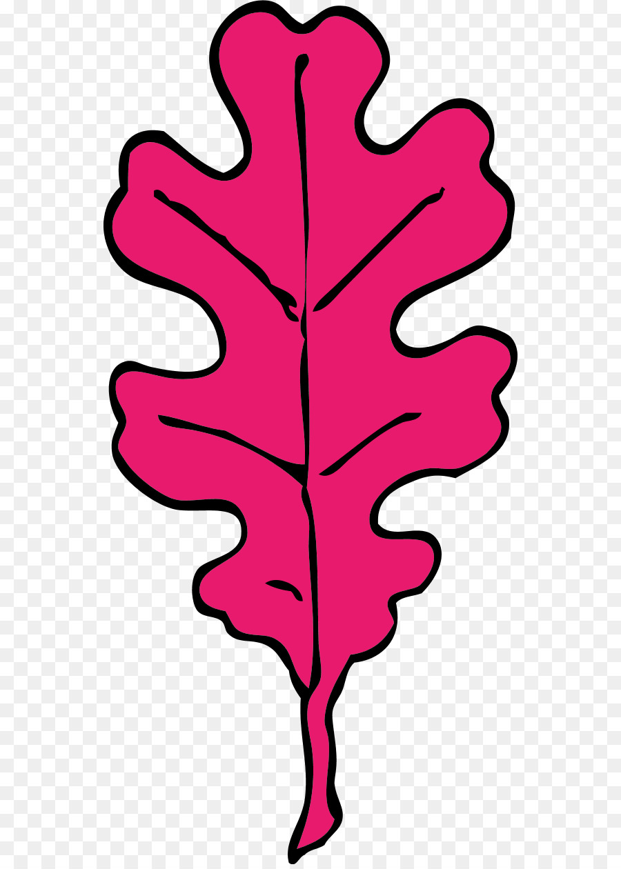 Folha Rosa，Outono PNG