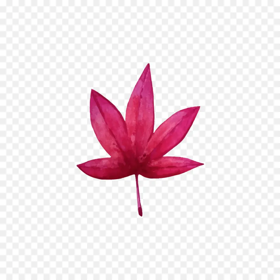 Red Maple，Folha PNG