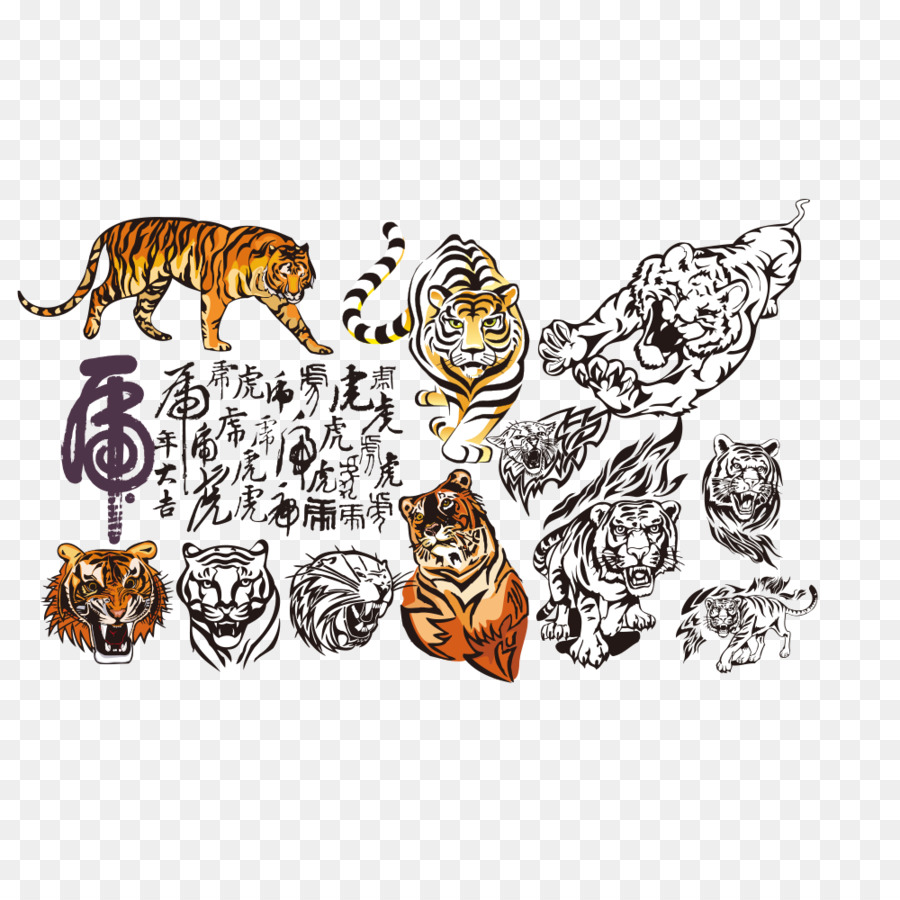 Ilustrações De Tigre，Tigre PNG