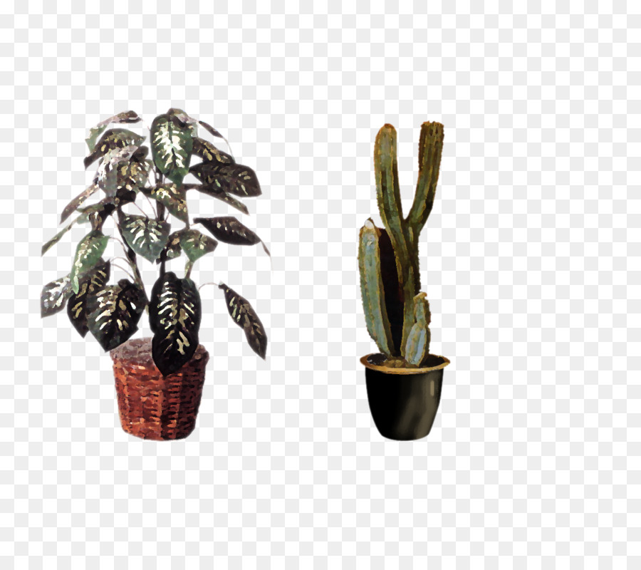 Plantas，Vaso PNG