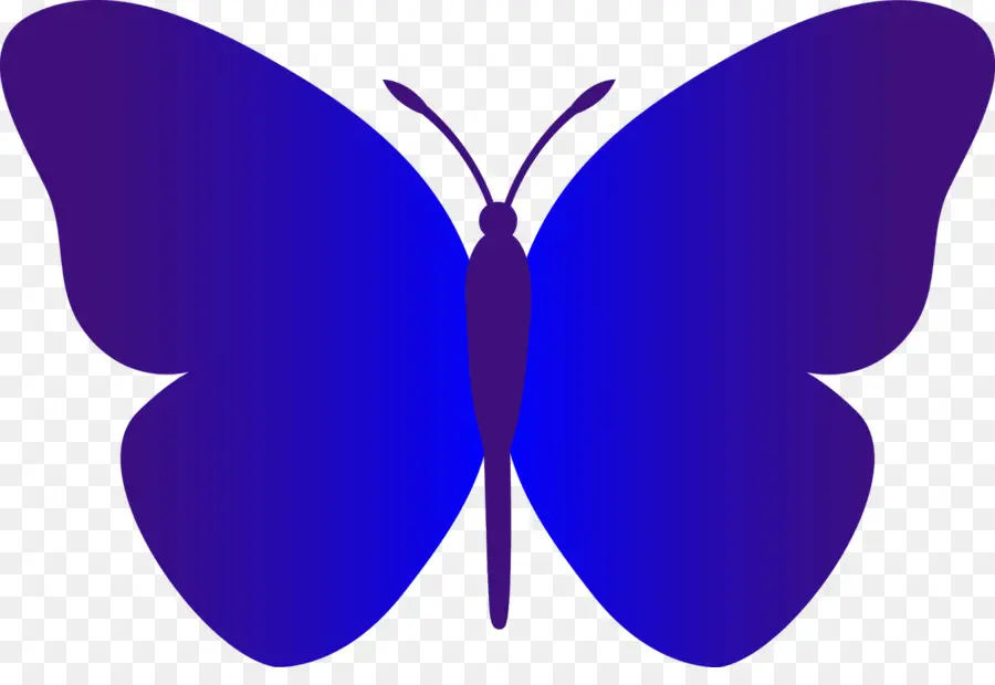 Borboleta，Preto E Branco PNG