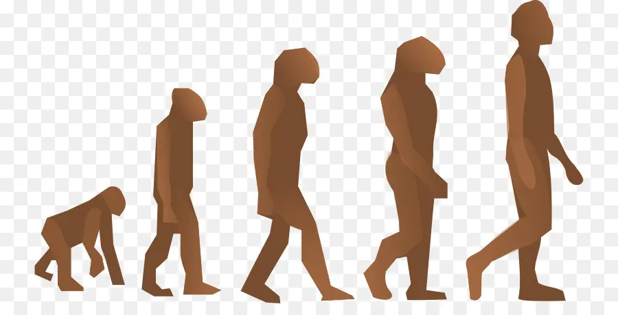 Evolução Humana，Evolução PNG