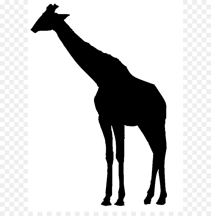 Girafa，Silhueta PNG
