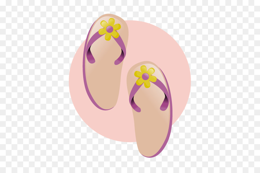 Flip Flops，Chinelo PNG