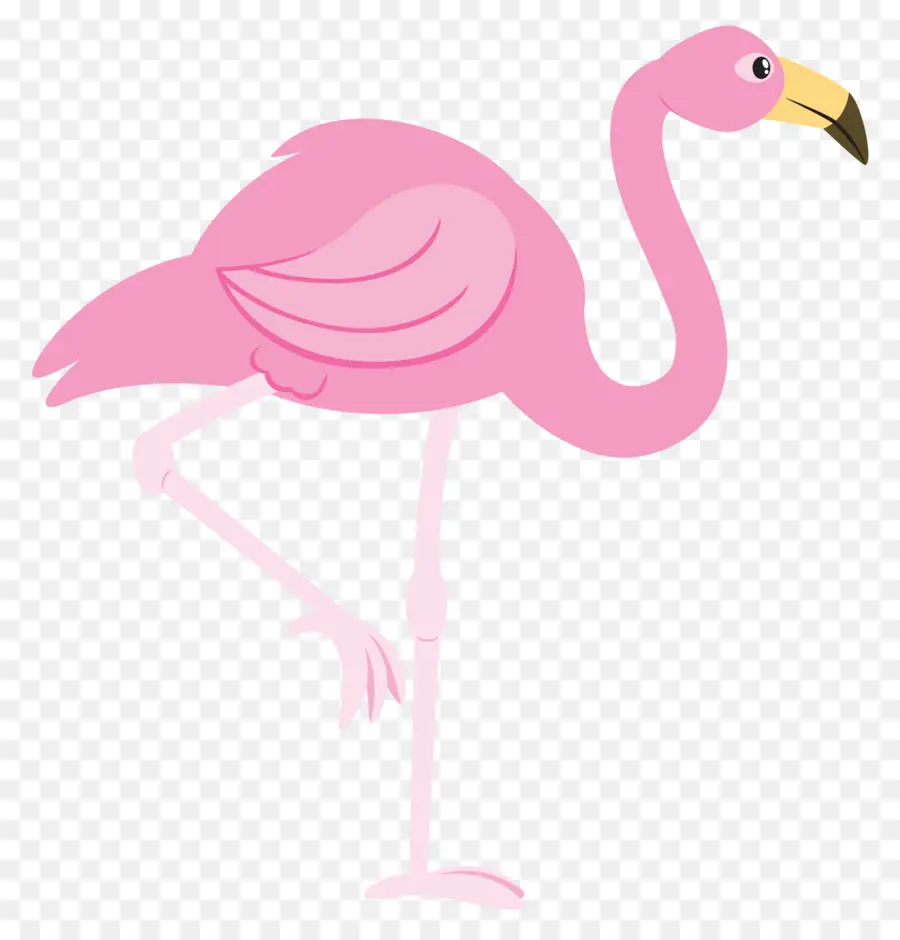 Flamingo，Pássaro PNG