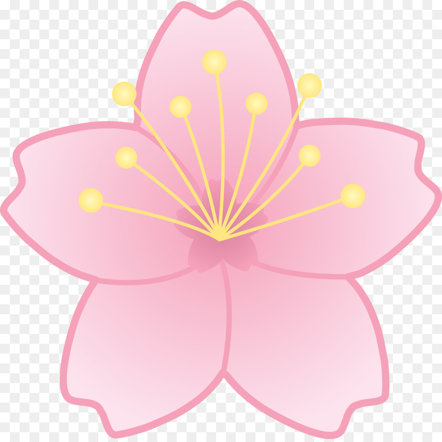 Flor De Cerejeira Desenho Cereja Png Transparente Gr Tis