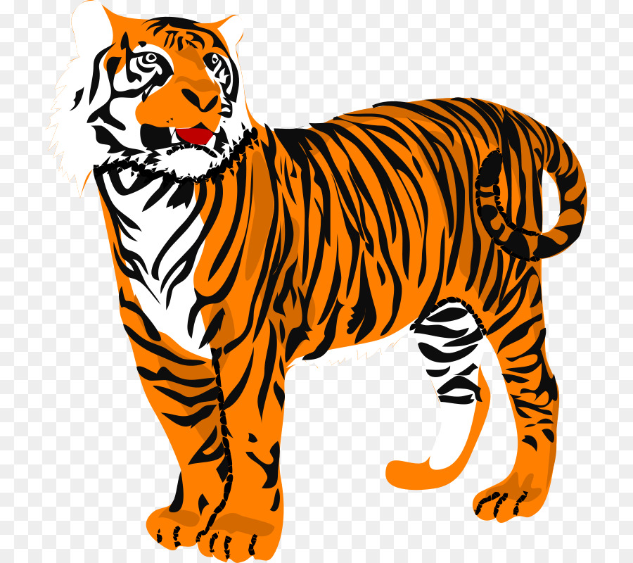 Tigre，Conteúdo Grátis PNG