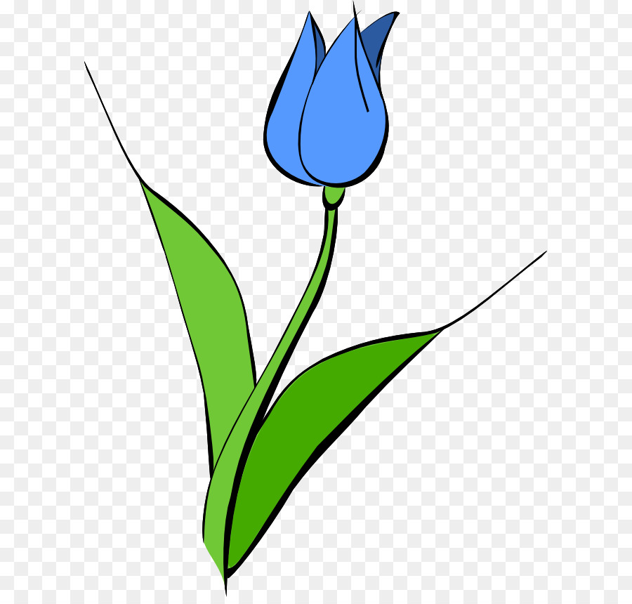 Contorno De Tulipa，Simples PNG