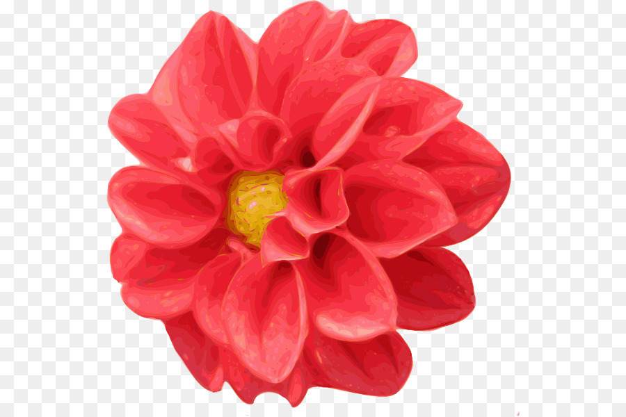 Flor，Vermelho PNG