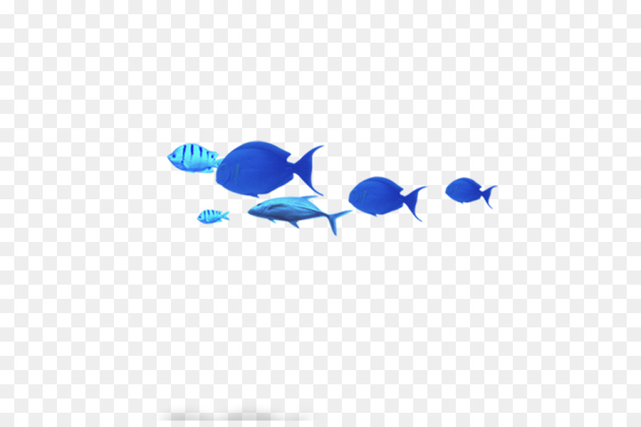 Peixe Azul，Aquático PNG