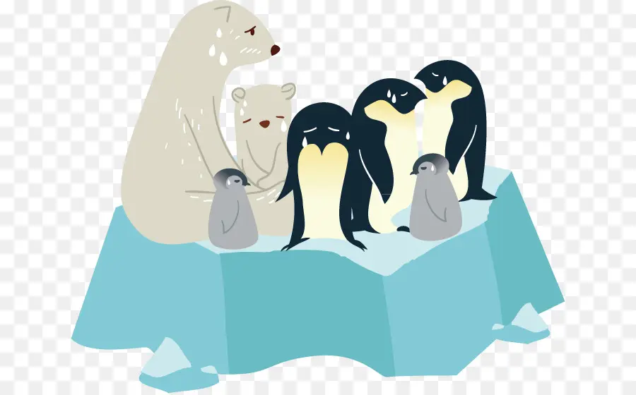 Urso Polar，Pinguins PNG