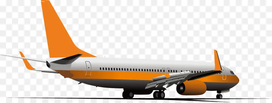 Avião，Voo PNG