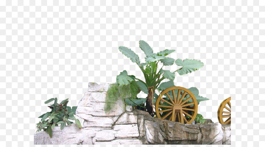 Plantas E Rodas，Rodas PNG