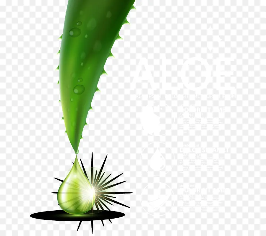 Aloe Vera，Derrubar PNG