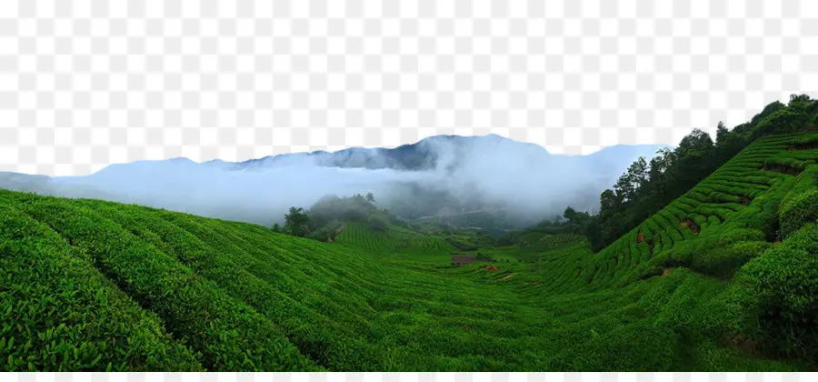 Campos Verdes，Montanhas PNG