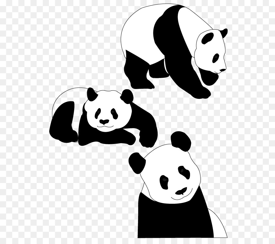 Imagens Desenho De Panda PNG e Vetor, com Fundo Transparente Para Download  Grátis
