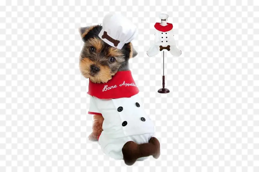 Cachorro Fantasiado De Chef，Filhote De Cachorro PNG