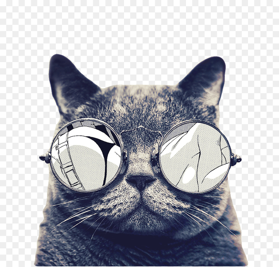 Gato Dos Desenhos Animados PNG Imagens Gratuitas Para Download