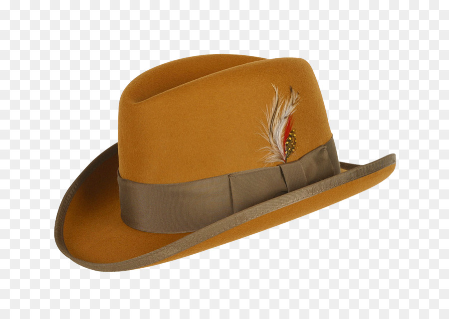 Fedora，Chapéu PNG