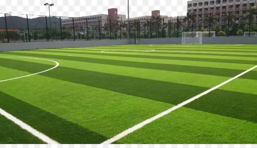 Campo De Futebol，Grama PNG