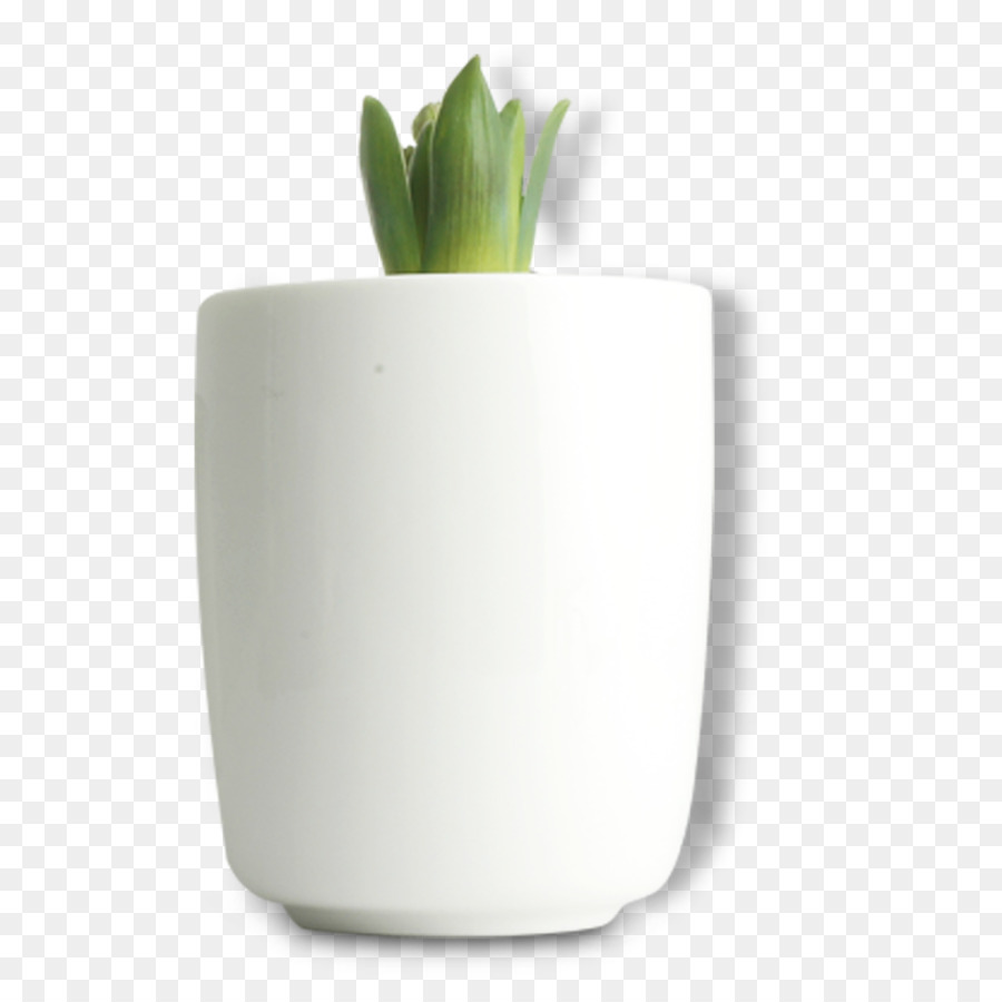 Pote Branco，Planta Verde PNG