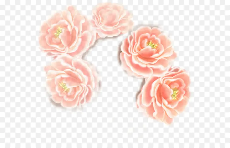 Flores Cor De Rosa，Florescer PNG