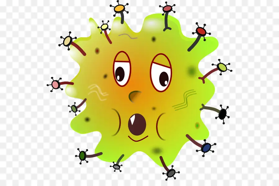 Teoria Do Germe Da Doença，Bactérias PNG