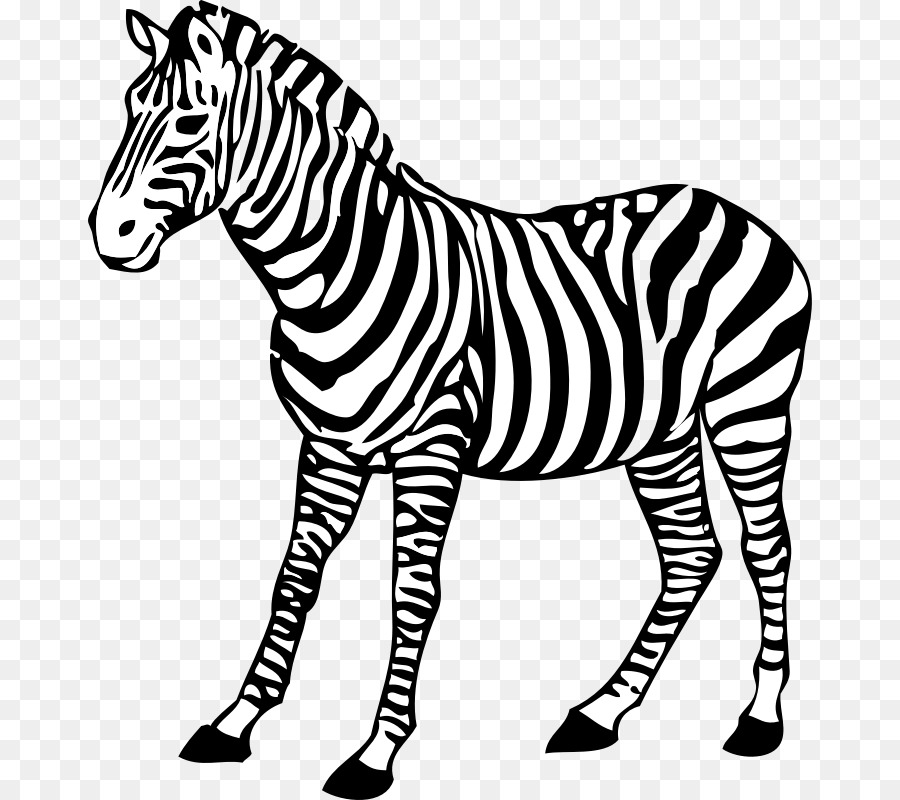 Zebra，Conteúdo Grátis PNG