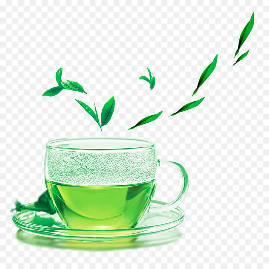 Chá，O Chá Verde PNG