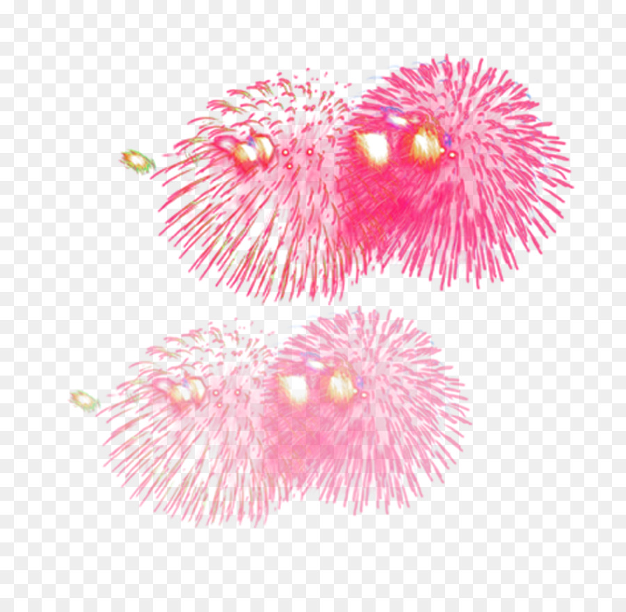 Fogos De Artifício，Rosa PNG