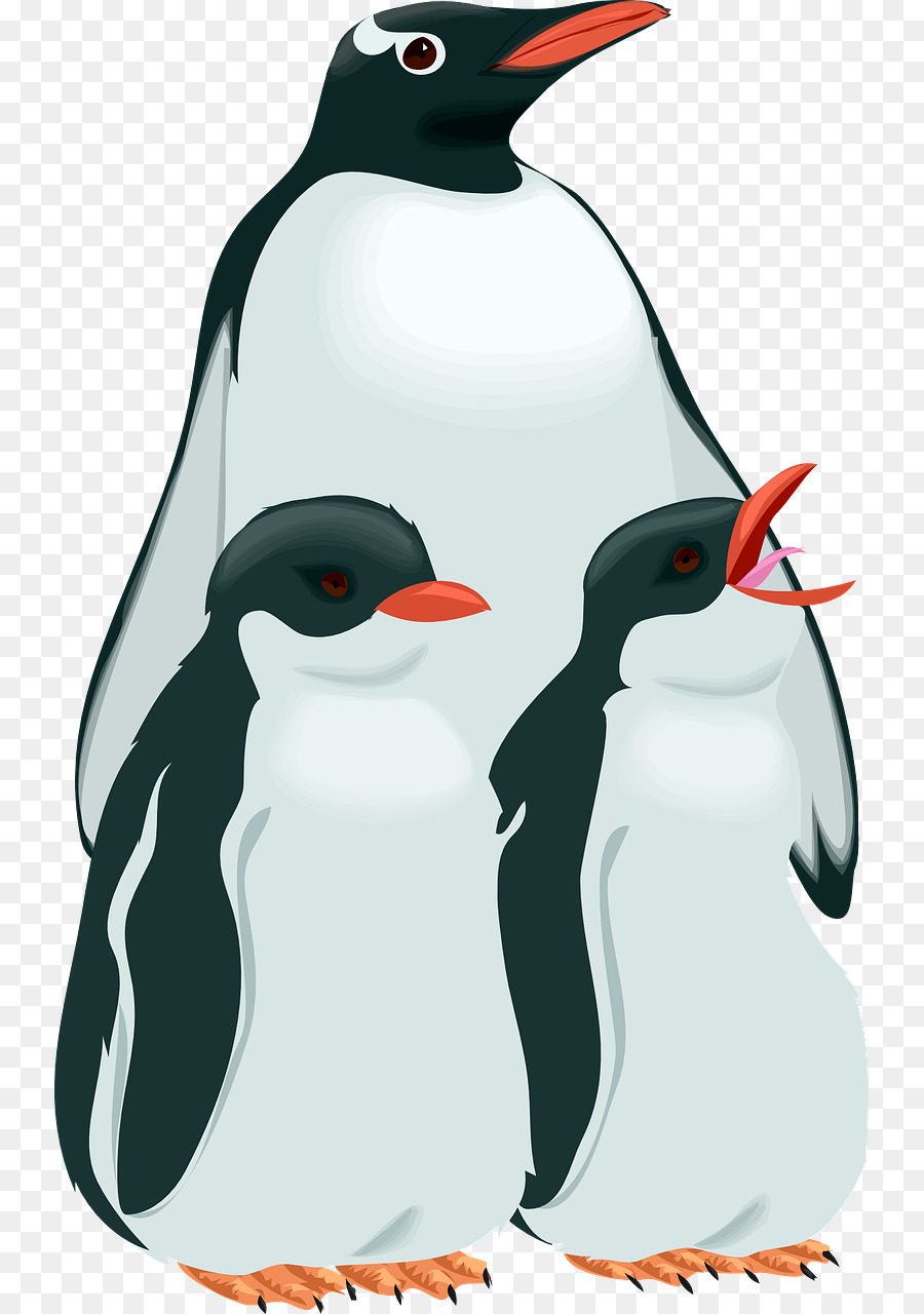 Pinguins，Pássaros PNG