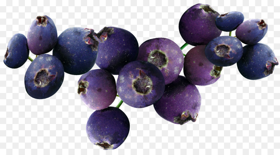 Mirtilo，Berry PNG