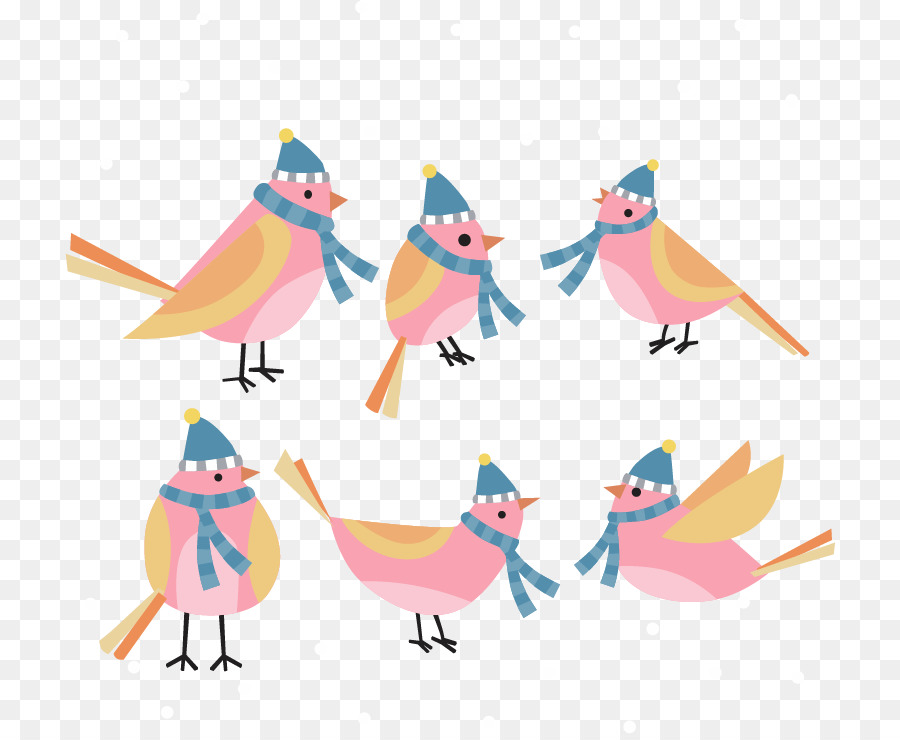 Aves，Bico PNG