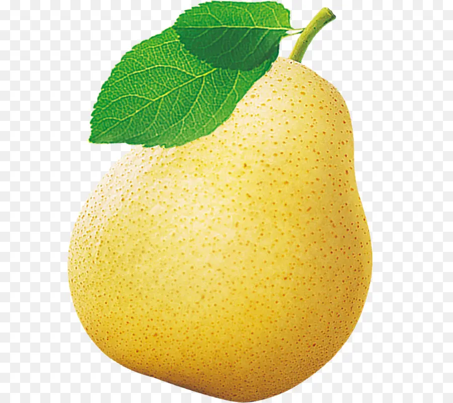 Pêra Asiática，Citron PNG