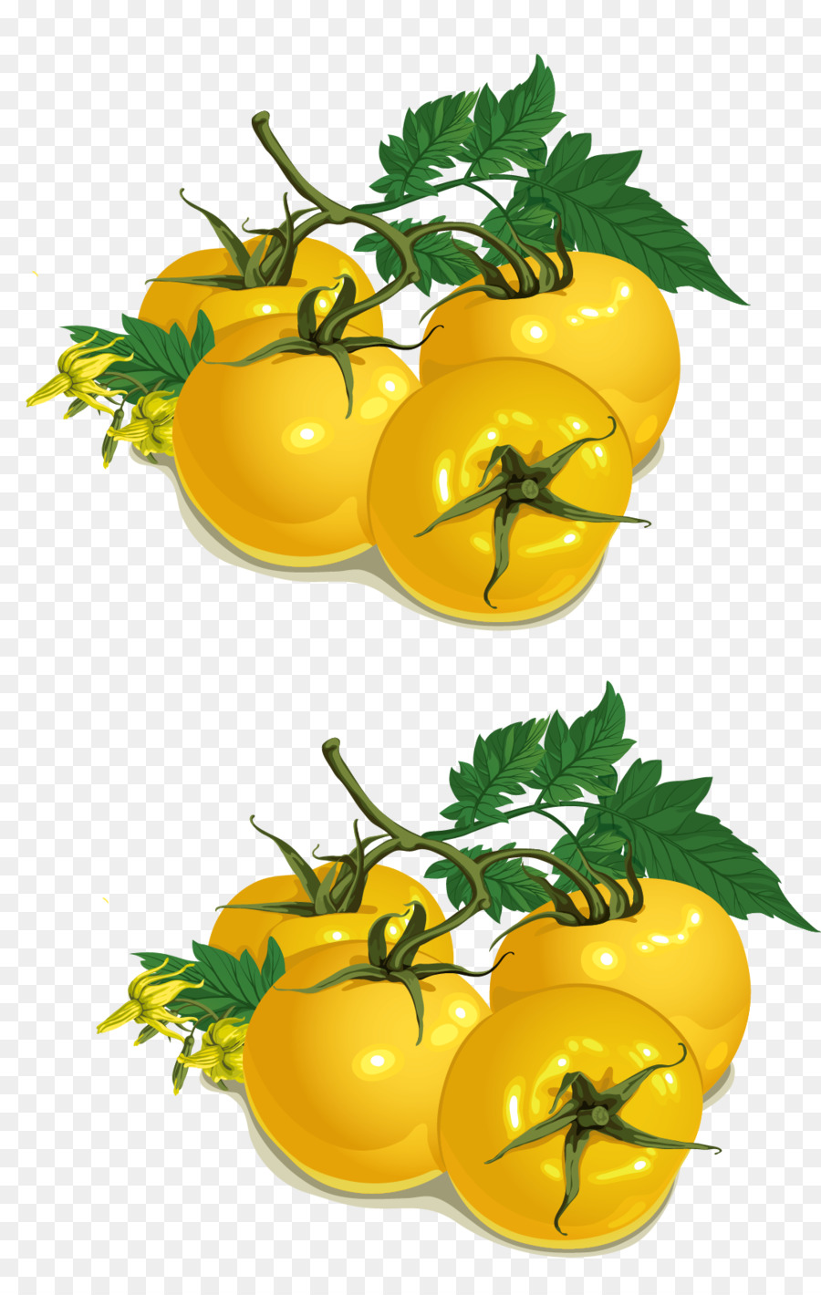 Tomates Amarelos，Tomate PNG