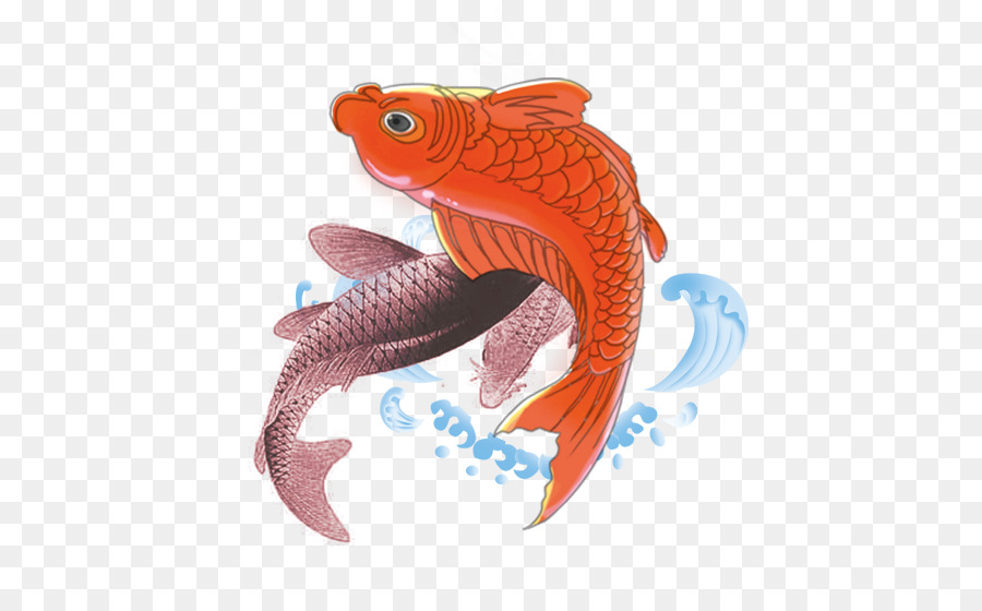 Koi，Carpa PNG