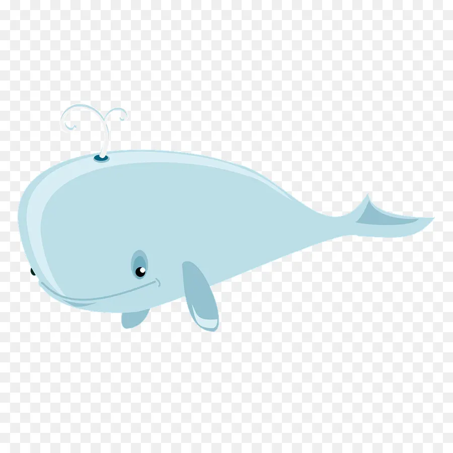 Dolphin，Cartoon PNG