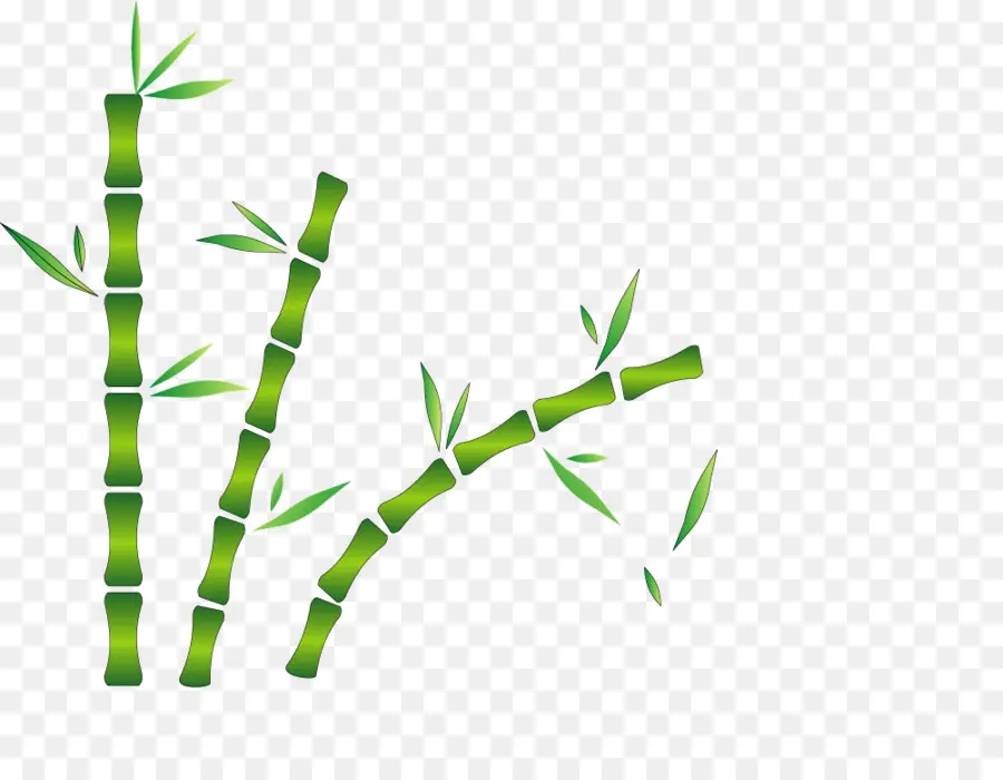 Bambu，Verde PNG