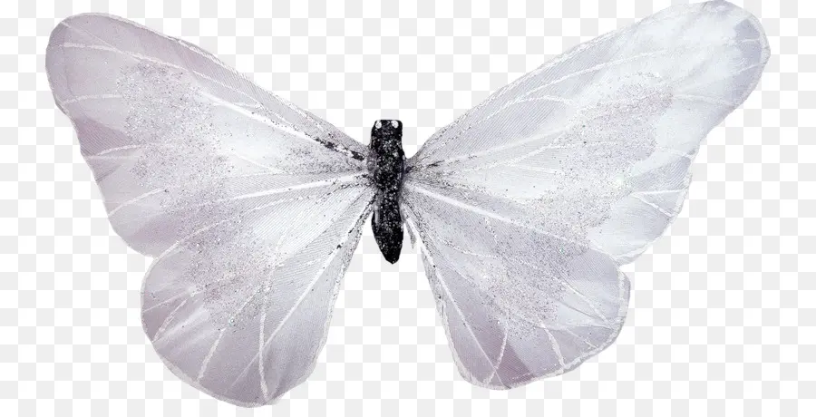 Borboleta，Branco PNG