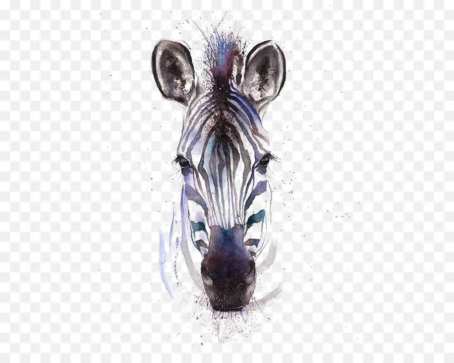 Pintura Em Aquarela，Zebra PNG