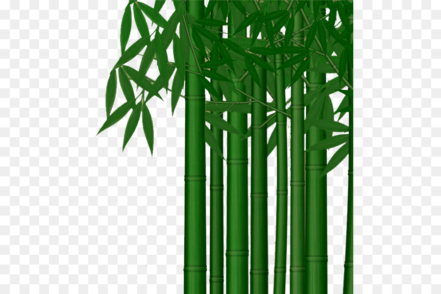 Bambu，Folhas PNG