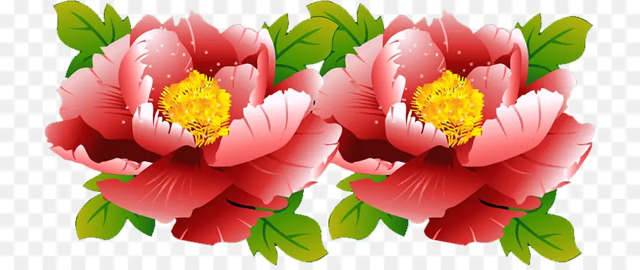 Peônia，Design Floral PNG
