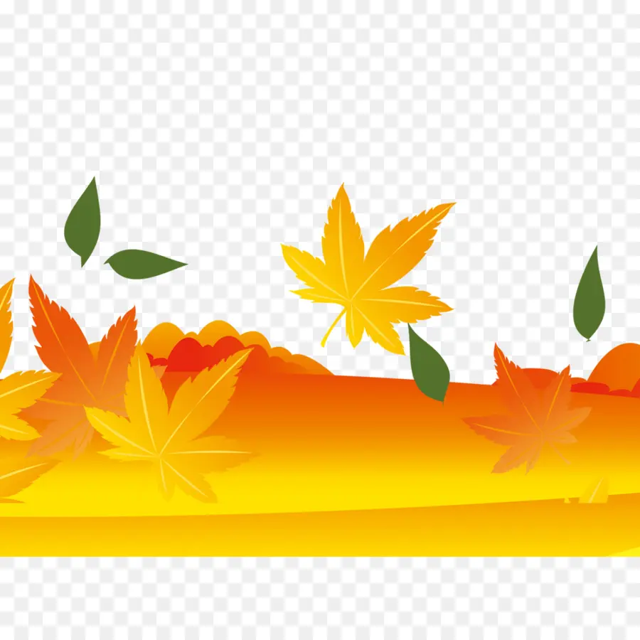 Maple Leaf，Folha PNG