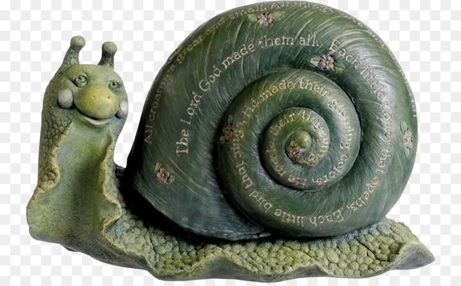 Caracol，Orthogastropoda PNG