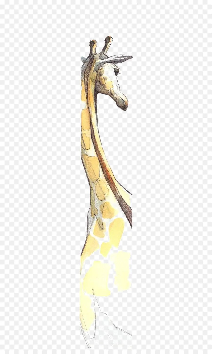 Girafa，Desenho PNG