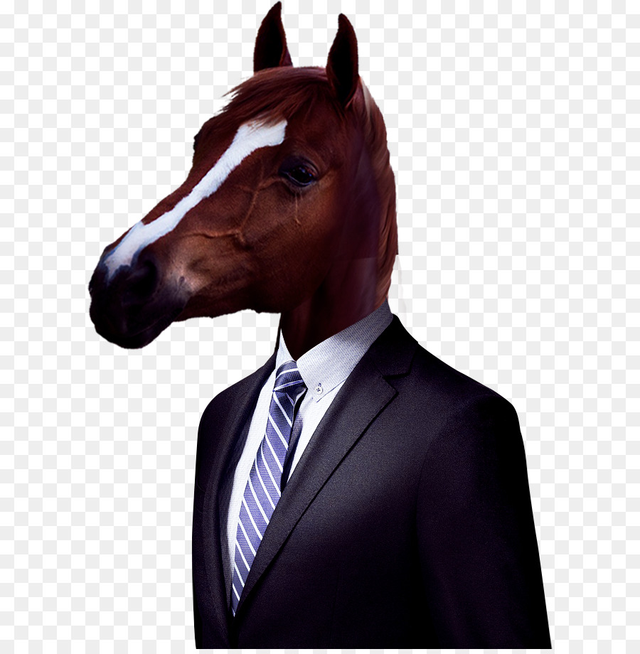 Designs PNG de cavalo de desenho animado para Camisetas e Merch