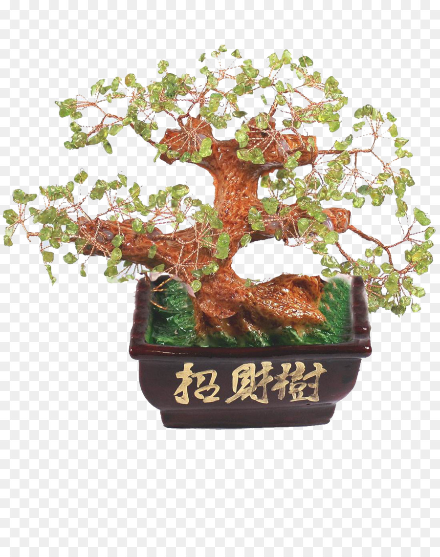 Árvore Bonsai，Miniatura PNG